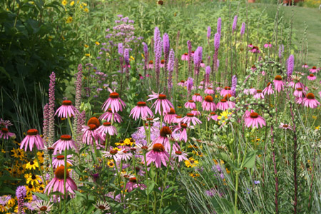 Wildflower Garden Ideas island Wooden Covered Deer Feeder Plans Wildflower Garden Ideas full size of garden simple wildflower garden design ideas with small flower garden design ideas Wooden Covered Deer Feeder Plans