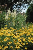 Wetland Habitat Mix